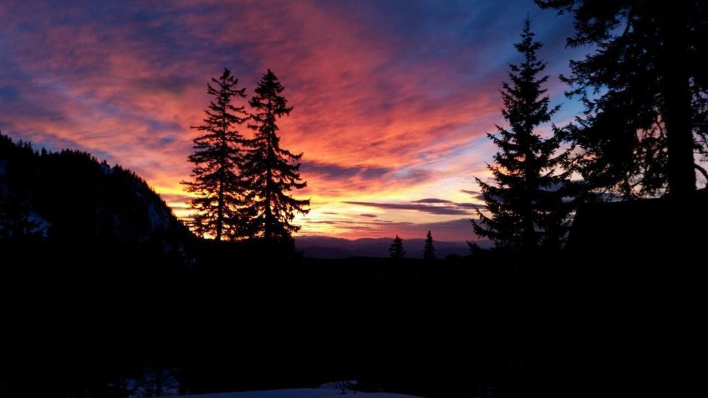 Apartments Milinkovic Jahorina Esterno foto