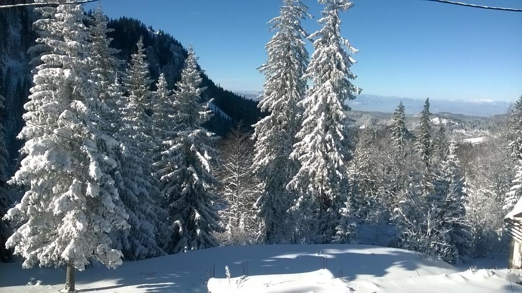 Apartments Milinkovic Jahorina Esterno foto